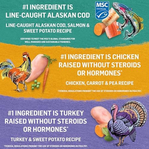 Beyond Grain Free Natural Wet Dog Food, Ground Entree Variety Pack 3 Flavours - 368 g Can (6 Pack) — view 5