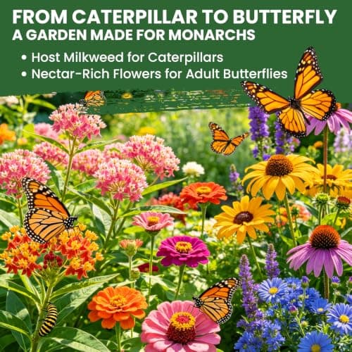 Milkweed Seeds for Monarch Butterflies – Wildflower Seeds Mix 18000+ Seeds (1.76 oz), Perennial Pollinator Garden Flowers, Attract Bees, Butterflies & Hummingbirds, Easy to Grow (1.76 oz)
