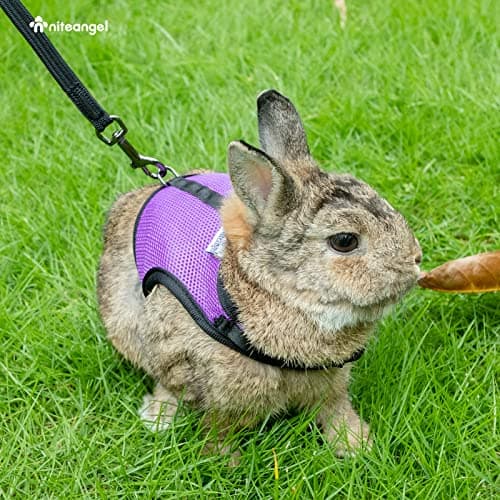Niteangel Adjustable Soft Harness with Elastic Leash for Rabbits (Pink, Medium) — view 6