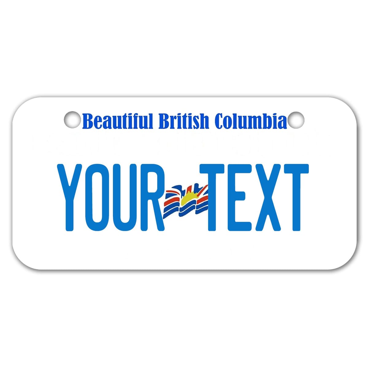 Alberta License Plate, 6"×12" Custom License Plate — view 28