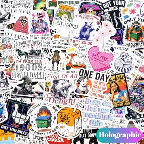 200 PCS Funny Holographic Stickers for Adults, Waterproof Vinyl Sarcastic Meme Decals for Laptop, Water Bottle, Phone, Kindle, Journal, Scrapbook, Bumper, Skateboard, Luggage, No Repeats — view 3