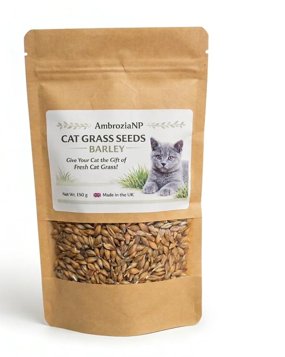 Cat Grass Seeds 150g – Grow Fresh Cat Grass – Natural Indoor Cat Grass – Easy to Grow – Made in UK (Mix) — view 3