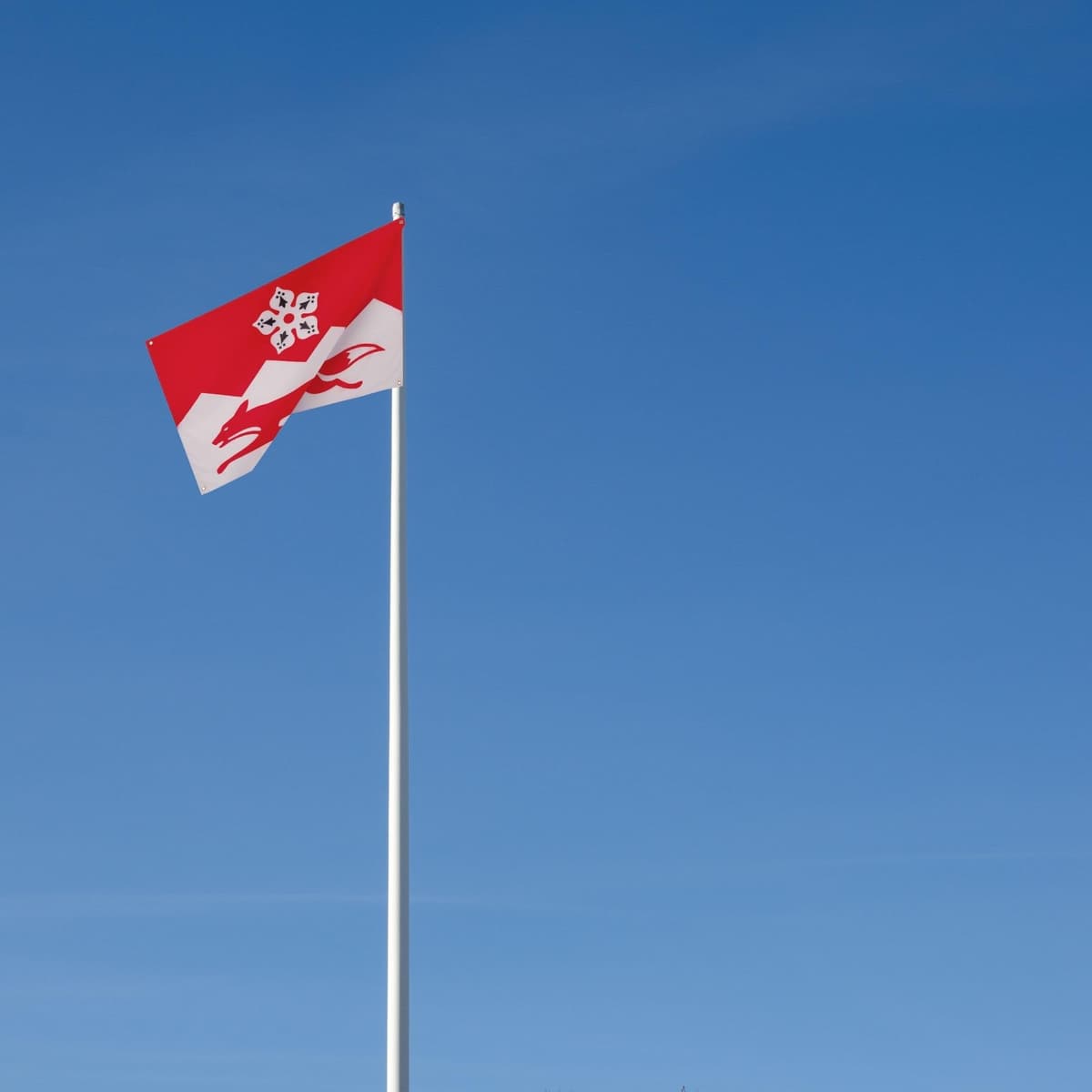 Runesol Cornwall Flag - 91x152cm, 3ft x 5ft, Cornish Flag, 4 Grommets, Eyelet in Every Corner, Premium Quality, Inside & Outside Use, Vivid Colours — view 1272