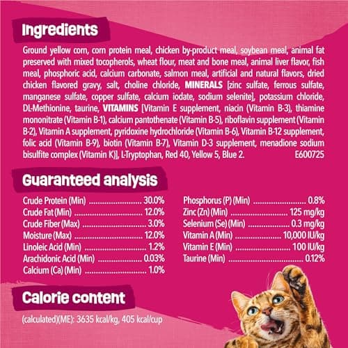 Purina Friskies Gravy Swirlers with Flavors of Chicken, Salmon and Gravy Dry Cat Food - 22 lb. Bag — view 4