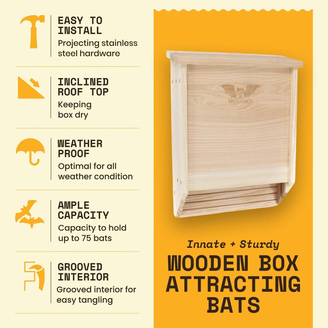 Wildyard Bat House For Outdoors -Casa Completa de Murciélagos para Exteriores - Limpia tu Patio de Mosquitos - Caja de Murciélagos sin Pintura en su Interior — view 3