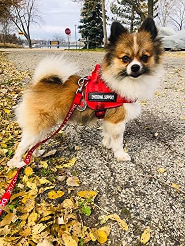 voopet Service Dog Harness, Emotional Support Pet Vest Harness, Reflective Breathable and Adjustable No-Pull ESA Dog Harness for Small Medium Large Dogs (with 4 PCS Removeable Tags) — view 2