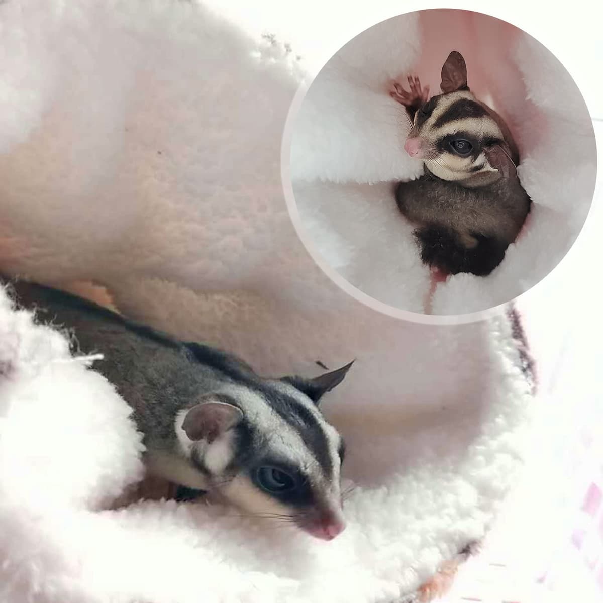 Hamaca para Ratas de hurón de Conejillo de Indias, Cama de túnel Colgante de Conejillo de Indias, Hamaca para Mascotas para Animales pequeños, Hamster, Chinchilla, Planeador de hurón, Rosa — view 3