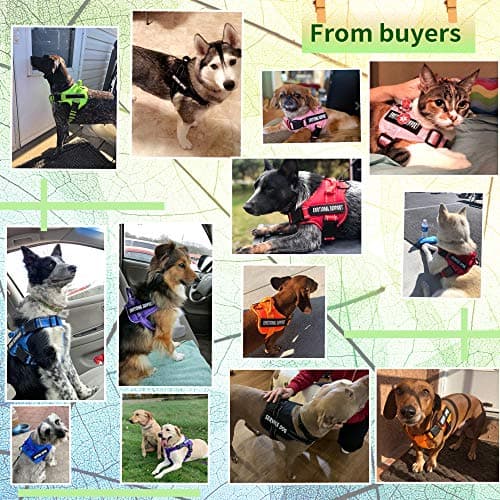 voopet Service Dog Harness, No-Pull Emotional Support Pet Vest Harness, Reflective Breathable and Adjustable Pet Halters for Small Medium & Large Dogs (with 4 PCS Removeable Tags) — view 3