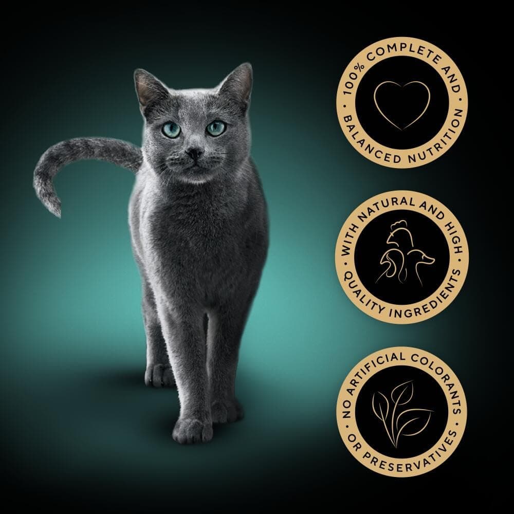 Sheba Select Slices Cat Wet Food - Poultry Selection in Gravy - 40x85g (Pack of 1) — view 2
