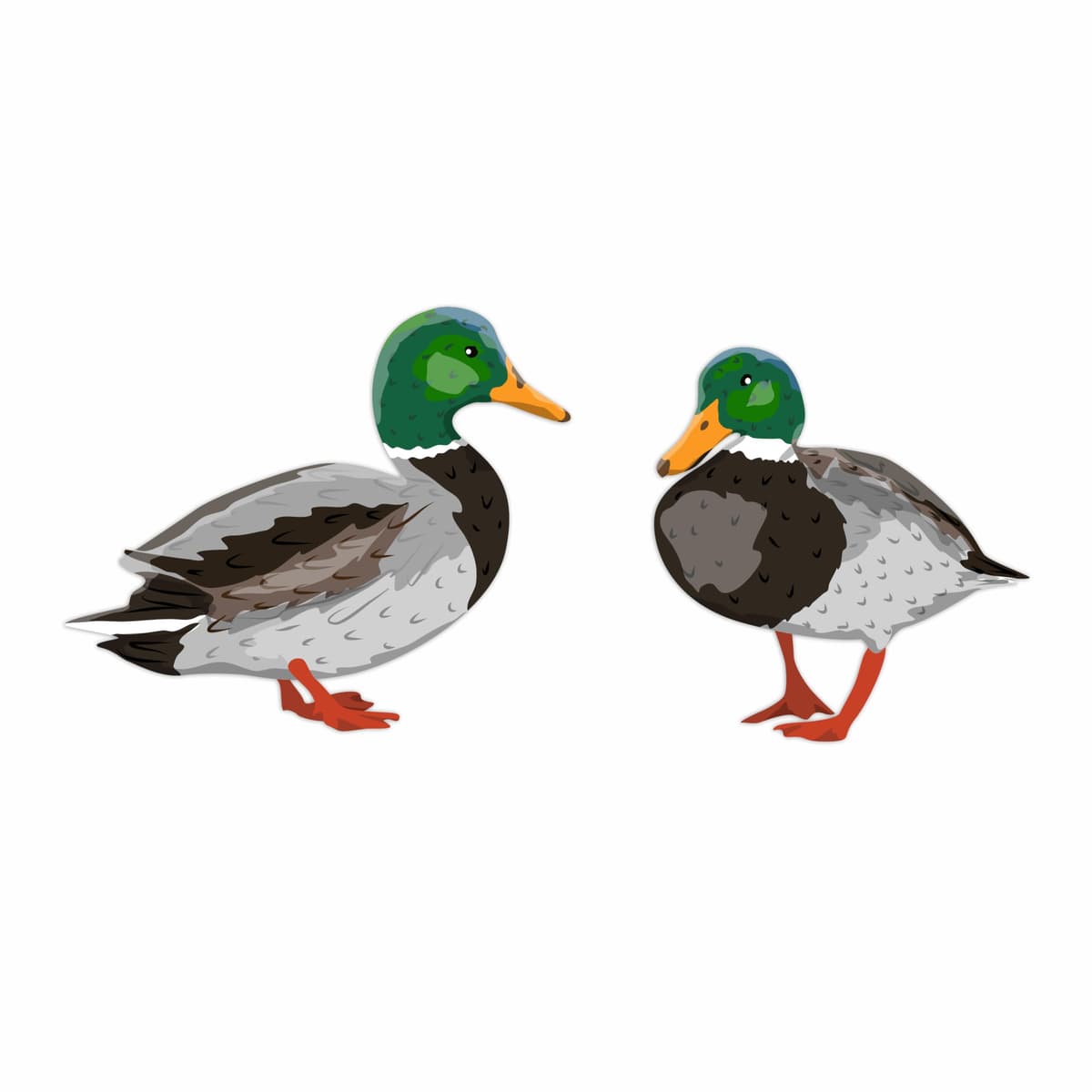 x3 Duck Stickers, Hardwearing Waterproof 0% Transparency Farm Animal Decals, Peel & Stick Perfect to Cover Marks, Wall Decor, Weatherproof for Cars & Home Projects. (x3 Ducks, A5) — view 12
