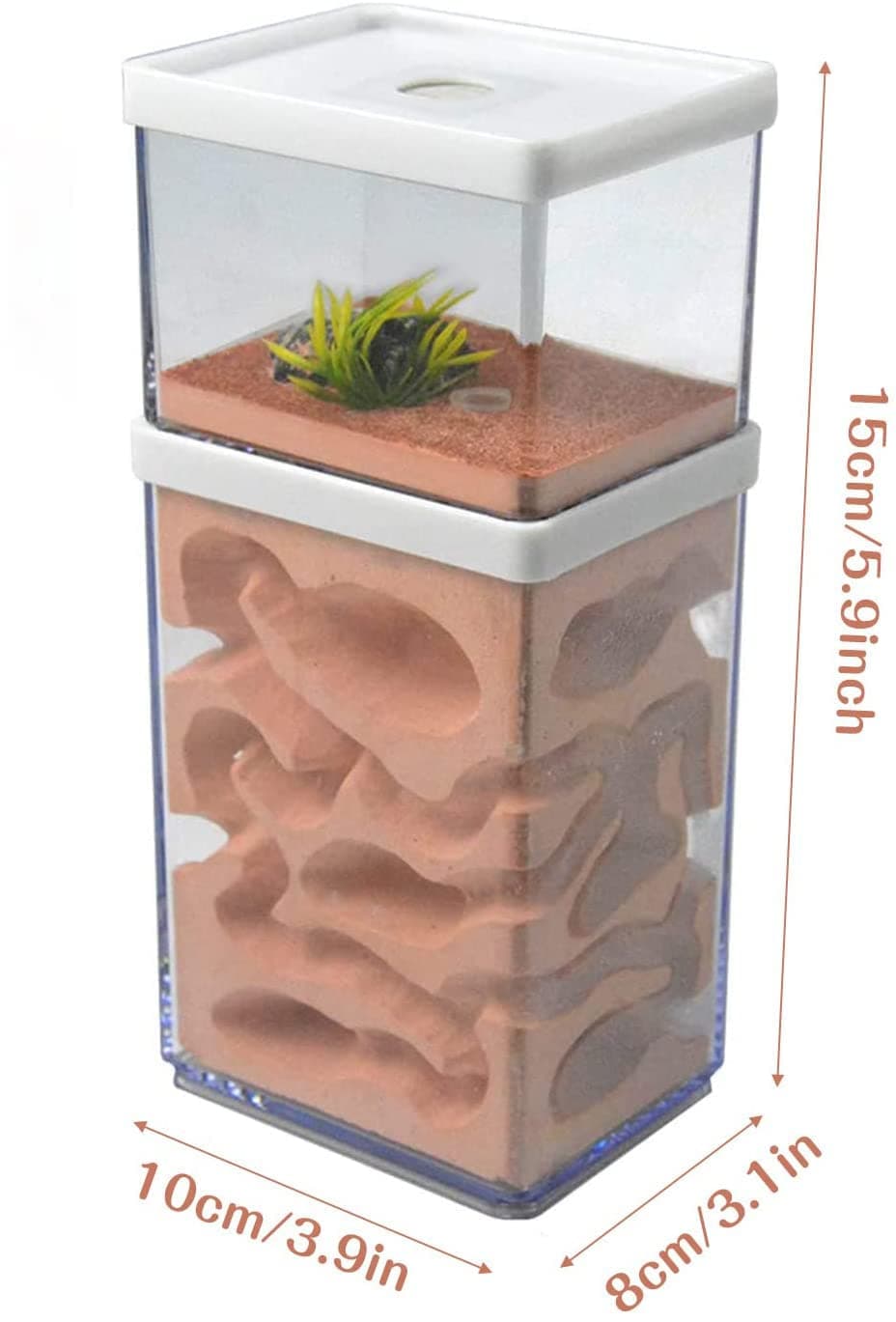 aleawol Ant Nest Farm Natural Gypsum, Transparent Ant Formicarium World House Feeding Box for Observing Habits Science Experiment Gift — view 6