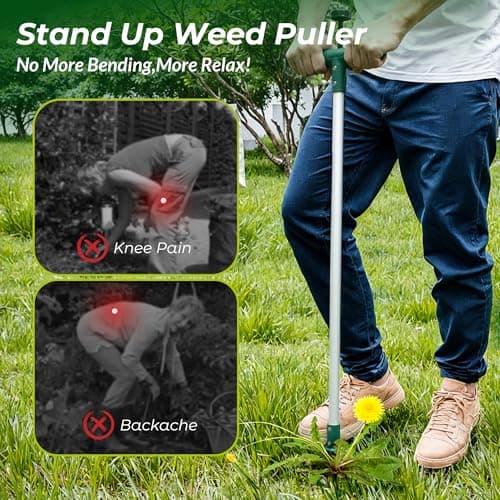 Walensee Weed Puller, Stand Up Weeder Hand Tool, Long Handle Garden Weeding Tool with 3 Claws, Hand Weed Hound Weed Puller for Dandelion, Standup Weed Root Pulling Tool and Picker, Grabber (1 Pack) — view 3