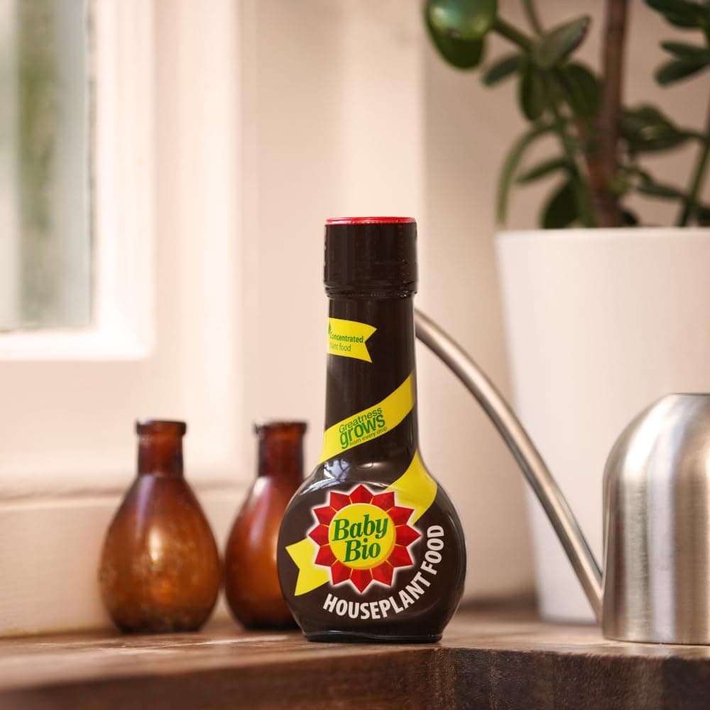 Baby Bio Houseplant Food, 175ml- Fertiliser for Growing Vibrant and Healthy Plants - Easy To Use House Plant Care - Concentrate Plant Food - Indoor Use Plant Nutrition — view 3