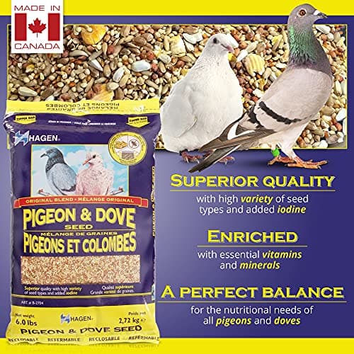 Hagen Pigeon and Dove Staple VME Seeds, 6-Pounds