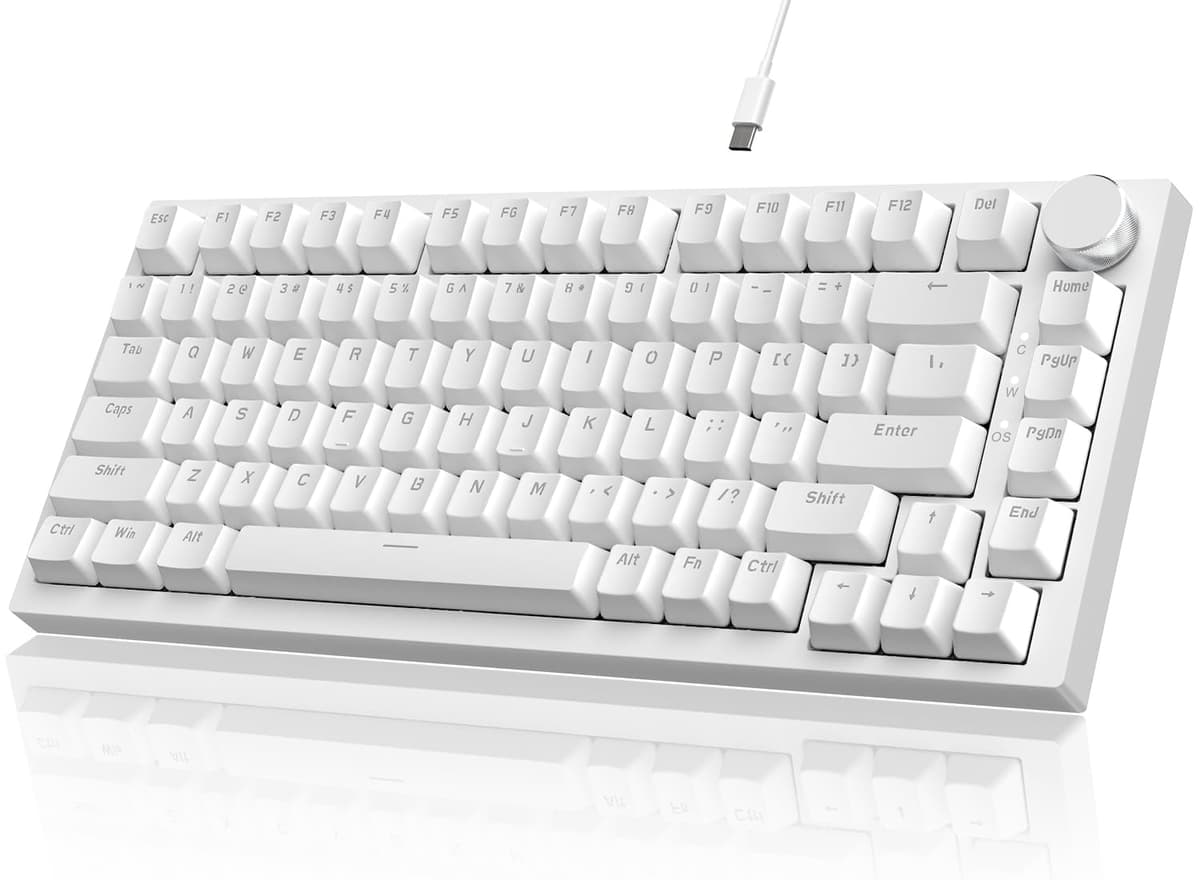 YINDIAO Ajazz AK820 Teclado Mecánico con Perilla,Diseño 75% ANSI,82 Teclas,Teclado para Juegos con Cable,5 Espumas Absorbentes de Sonido,Hot-Swap,Interruptor Azul,Luz Azul Hielo,para PC,Mac (Blanco)
