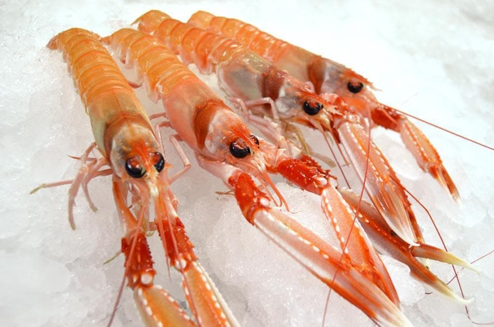 Pescadería Premium - Pescado y Marisco Fresco de Lonja - Cosecha Privada (1 Kg, Carabinero Grande) — view 3