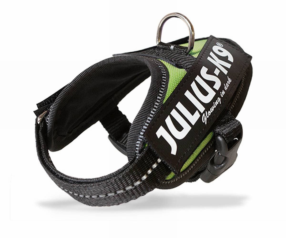 Julius-K9, 16IDC-AM-M, IDC Powerharness, dog harness, Size: Mini, Aquamarine — view 312