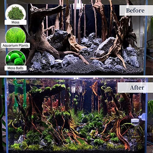 Natural Driftwood for Aquarium Decor Fish Tank Decorations, Assorted Driftwood Branch 6-10" 3 Pcs, Reptile Decor — view 5