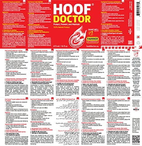 Hoof Doctor Oil - White Line | Thrush | Abscesses | Quarter Crack | Seedy Toe | Corns and Sole Bruises - 100% All-Natural Hoof Care Product - Birch Bark Extract, Betulin, Omega-3 with Vitamins A & D