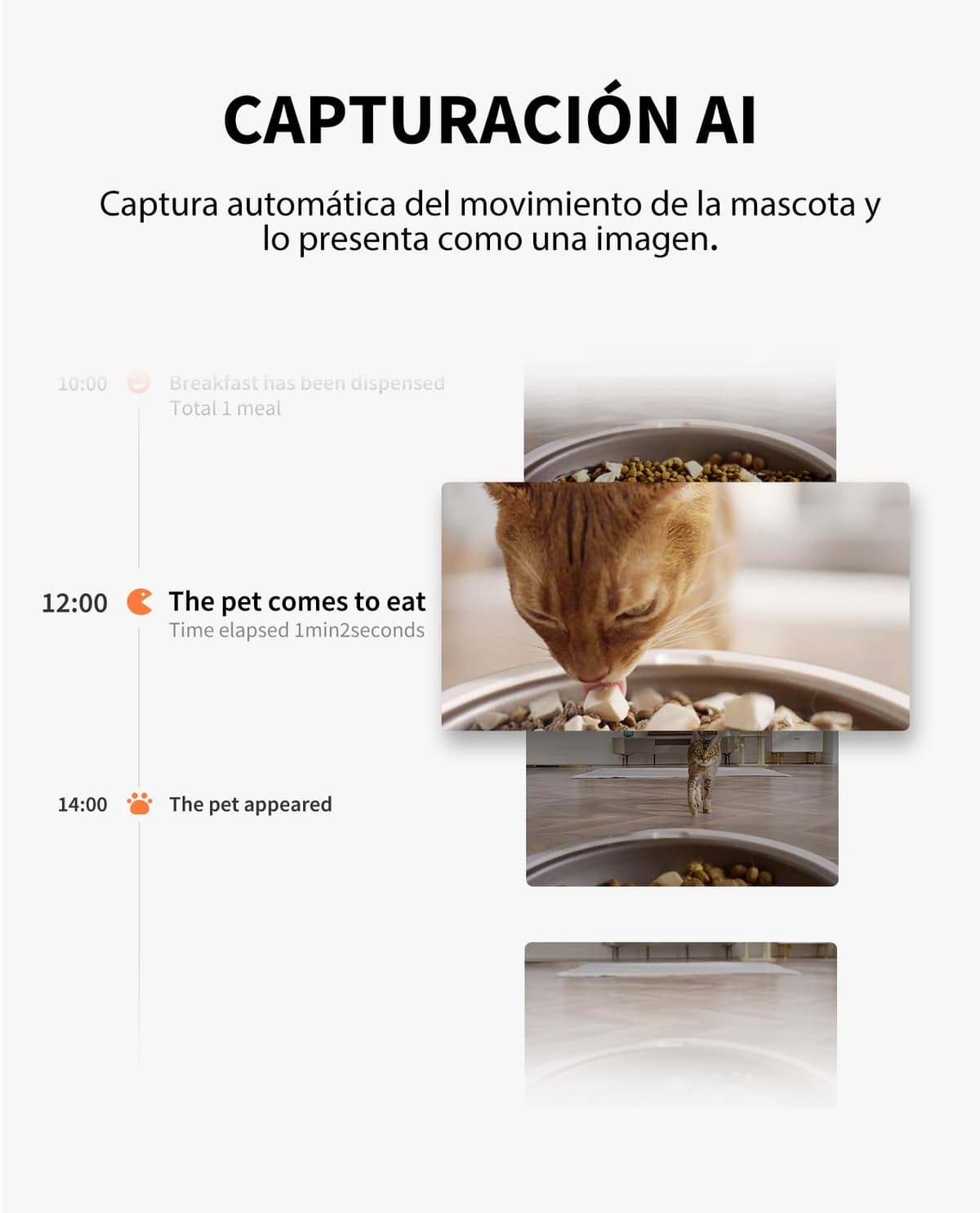 PETKIT Automatic Cat Feeder with Camera, 1080P HG, AI Function, Food Dispenser Cats/Dogs 3L, 2.4G WiFi, Two-Way Audio, App Control, Stainless Steel Bowl — view 3