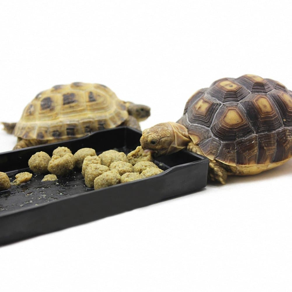 Reptile Food Bowl OMEM Large Water Dish,Feeding Dish, Tortoise Bowl (L, White Smooth) — view 5