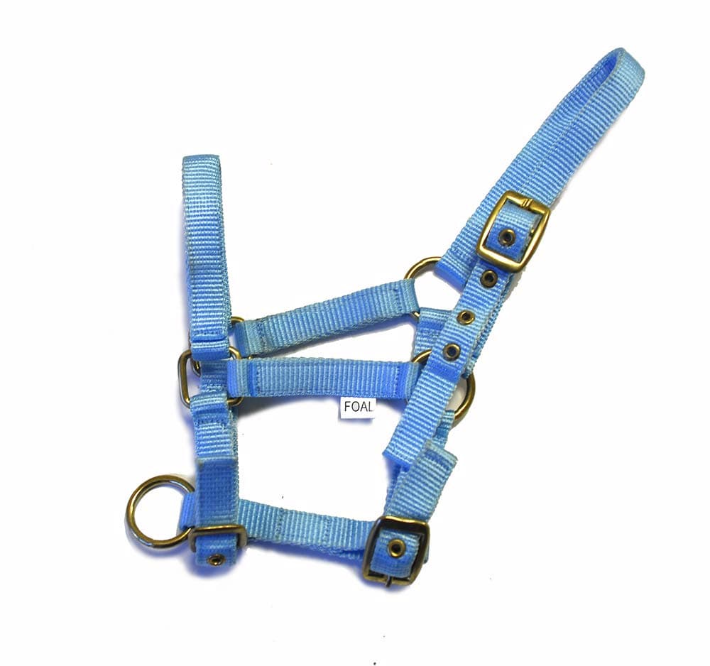 Rhinegold Collar de Nylon Potro — view 2