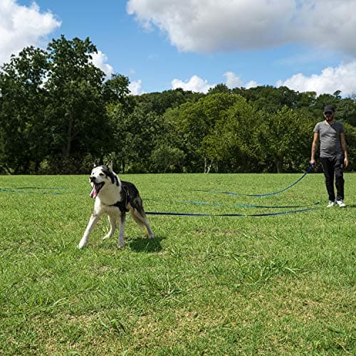 Hi Kiss Dog/Puppy Obedience Recall Training Agility Lead - 15ft 20ft 30ft 50ft 100ft Training Leash - Great for Training, Play, Camping, or Backyard (30 Feet, Red) — view 5