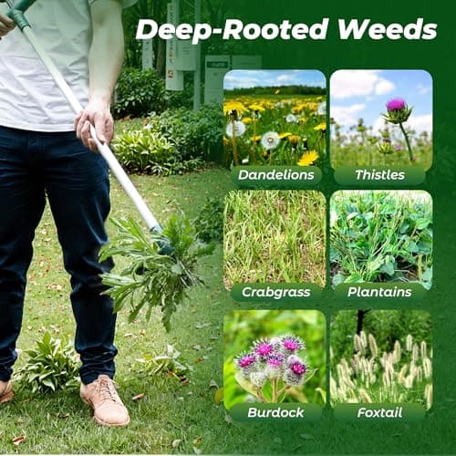 Walensee Weed Puller, Stand Up Weeder Hand Tool, Long Handle Garden Weeding Tool with 3 Claws, Hand Weed Hound Weed Puller for Dandelion, Standup Weed Root Pulling Tool and Picker, Grabber (1 Pack) — view 6