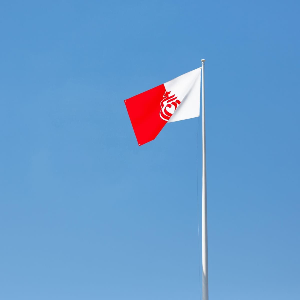 Runesol Cornwall Flag - 91x152cm, 3ft x 5ft, Cornish Flag, 4 Grommets, Eyelet in Every Corner, Premium Quality, Inside & Outside Use, Vivid Colours — view 485