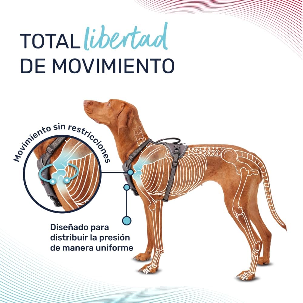 Arnés de perro HALTI Anatomy con asa - Proporciona libertad de movimiento a tu perro para que pasee cómodamente. 3 puntos de enganche y acolchado de neopreno y ajustable (Talla XS, Verde Azulado) — view 2