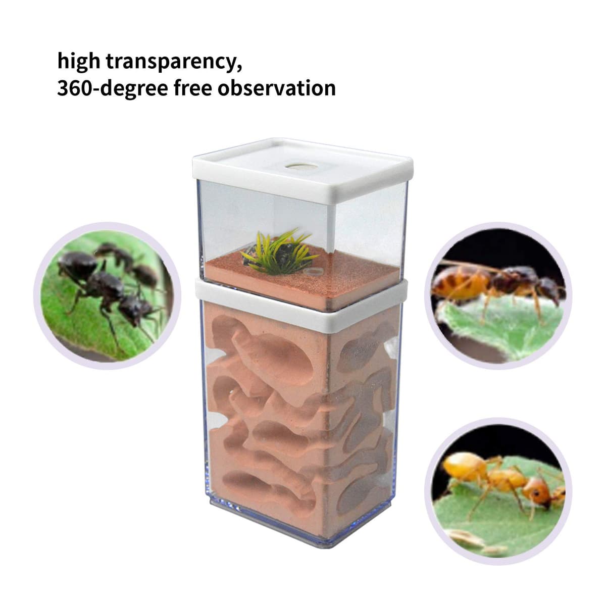 aleawol Ant Nest Farm Natural Gypsum, Transparent Ant Formicarium World House Feeding Box for Observing Habits Science Experiment Gift — view 3