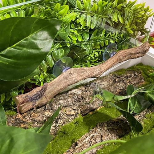 2 Pieces Snake Climbing Branch, Wood Reptile Bearded Dragon Branches Decor,Non Slip Habitat Decoration, Climbing Perch for Bearded Dragon, Gecko, Frogs, Snake Chameleons Spiders Terrarium