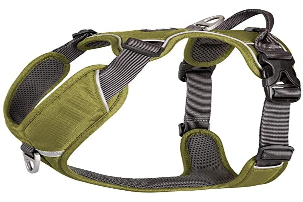 DOG Copenhagen Hundegeschirr V2 Comfort Walk (Pro) Black Talla XS — view 2