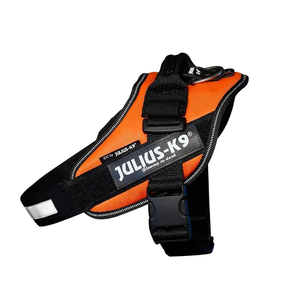 Julius-K9, 16IDC-AM-M, IDC Powerharness, dog harness, Size: Mini, Aquamarine — view 110