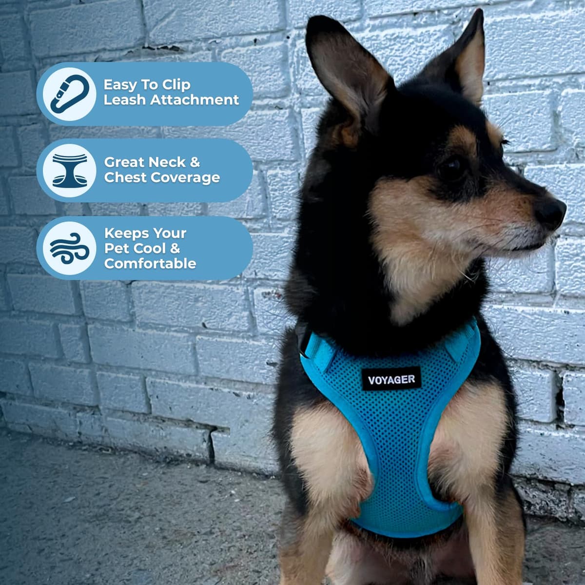 Best Pet Supplies Voyager Step-in Lock Pet Harness – All Weather Mesh, Adjustable Step in Harness for Cats and Dogs Turquoise (Matching Trim), XL (Chest: 22-36") — view 3