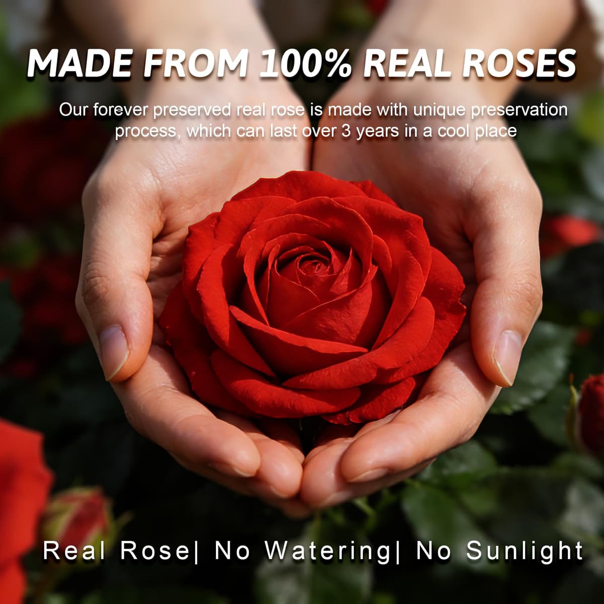 Yamonic Rosa Eterna Regalo Dia de la Madre, Regalo Originale para Mujer,Rosa Preservada con Figura Ángel Regalos para Mamá,Regalos Cumpleaños Mujer Abuela, Flore Eterna Dia de la Madre — view 3