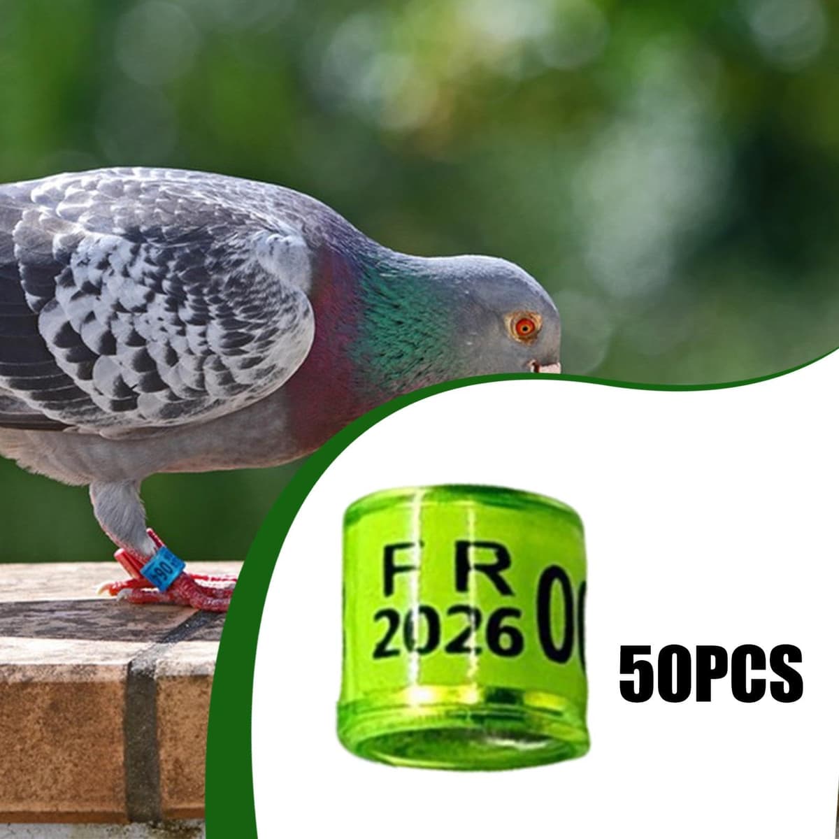 Sharplace 50 Piezas Anillas para Palomas Bandas Identificadoras para Patas de Pájaros Anillos Reutilizables para Control de Aves Material de Aluminio Y Plástico, Verde Claro — view 5