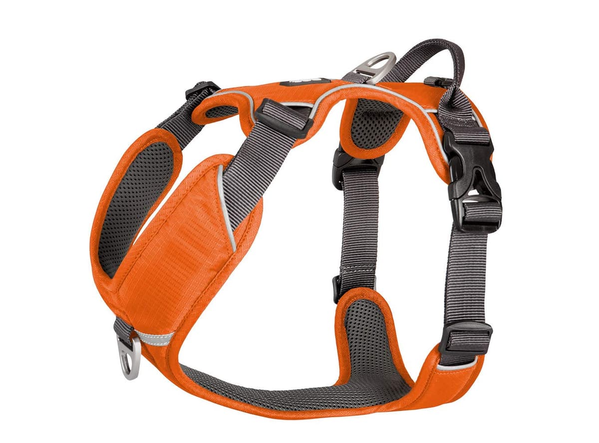 DOG Copenhagen Hundegeschirr V2 Comfort Walk (Pro) Black Talla XS — view 3