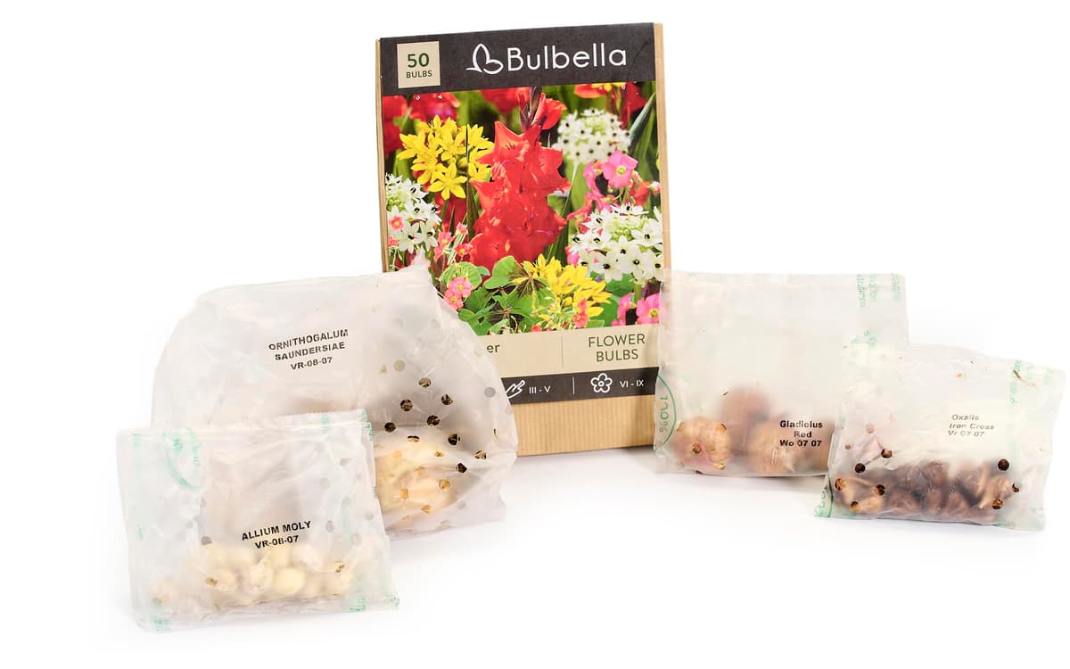 50 Summer Flowering Bulbs Mixed Pack All Summer Long Easy to Grow Sun/Partial Shade Perennial Garden Flower Bulbs for Planting Now UK — view 2