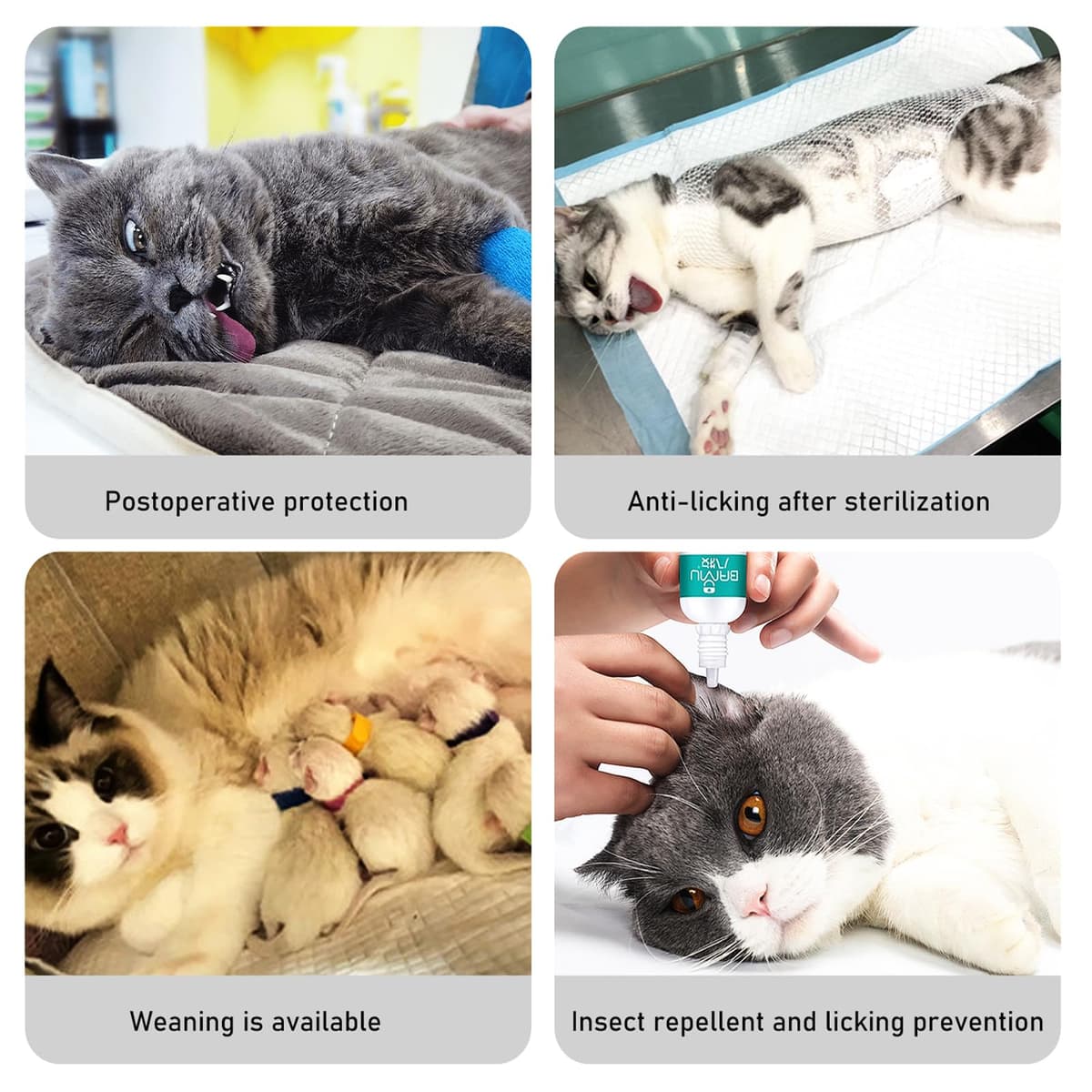 Cat Professional Recovery Suit，Body Suits for Abdominal Wounds or Skin Diseases，E-Collar Alternative for Cats, Onesie Cat Clothes After Surgery Collar & Cone Alternative — view 4