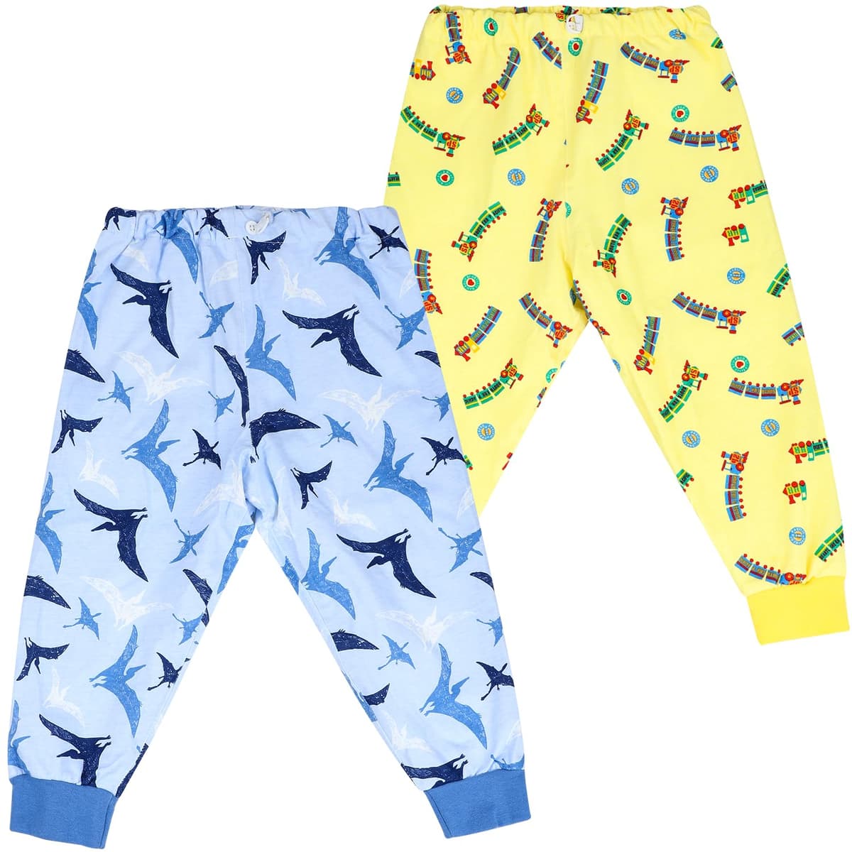 FLYISH DIRECT Potty Training Pants in Trouser Style, 2 Pieces of Waterproof Diaper Skirt, Absorbent Cotton Reusable Toilet Training Pants 3-5 Years, Train & Pterosaur, M