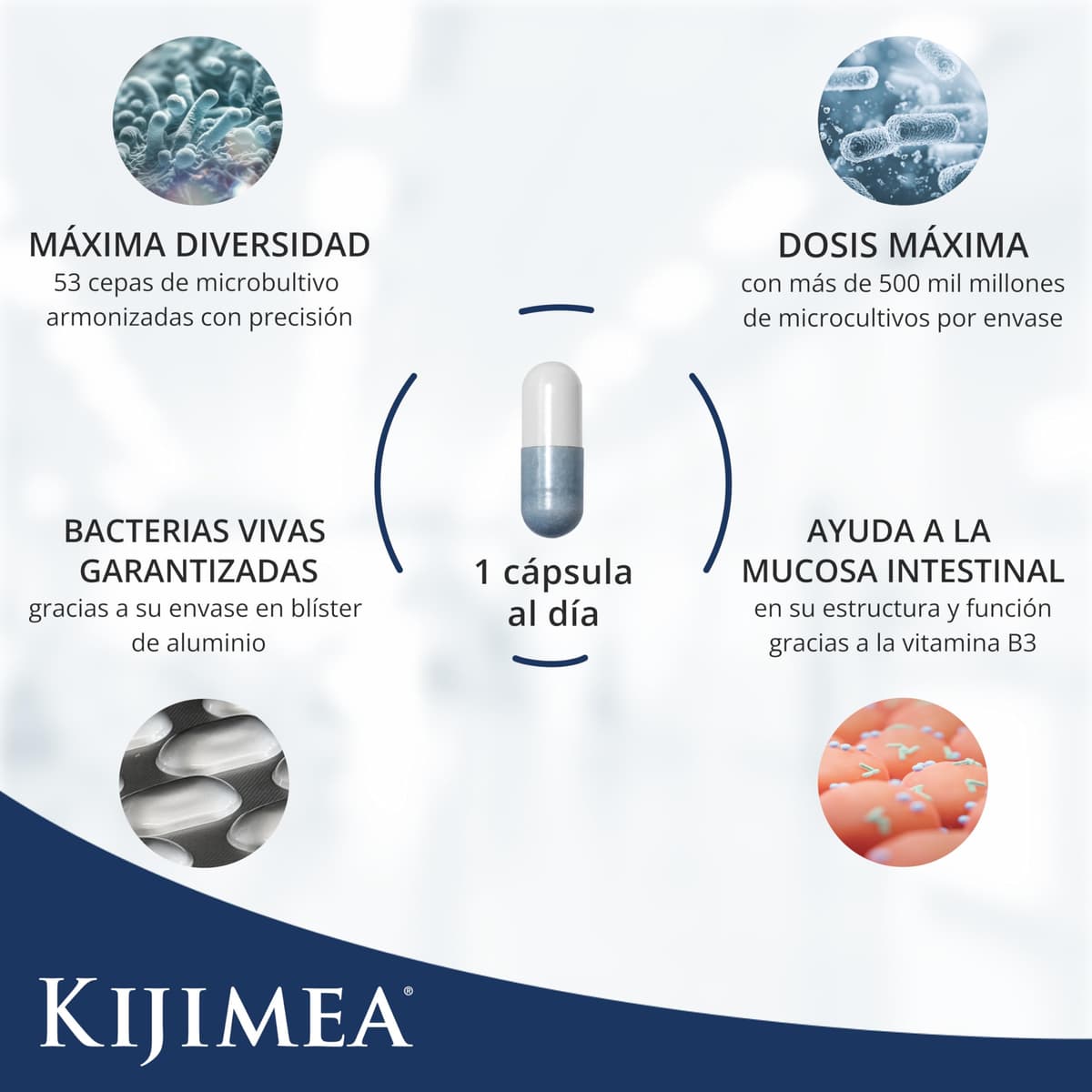 Kijimea K53 Advance - Cápsulas de bacterias intestinales de alta dosis, 53 cepas de microcultivos seleccionadas de la flora intestinal, con biotina, >500 mil millones de UFC por paquete - 28 cápsulas — view 3