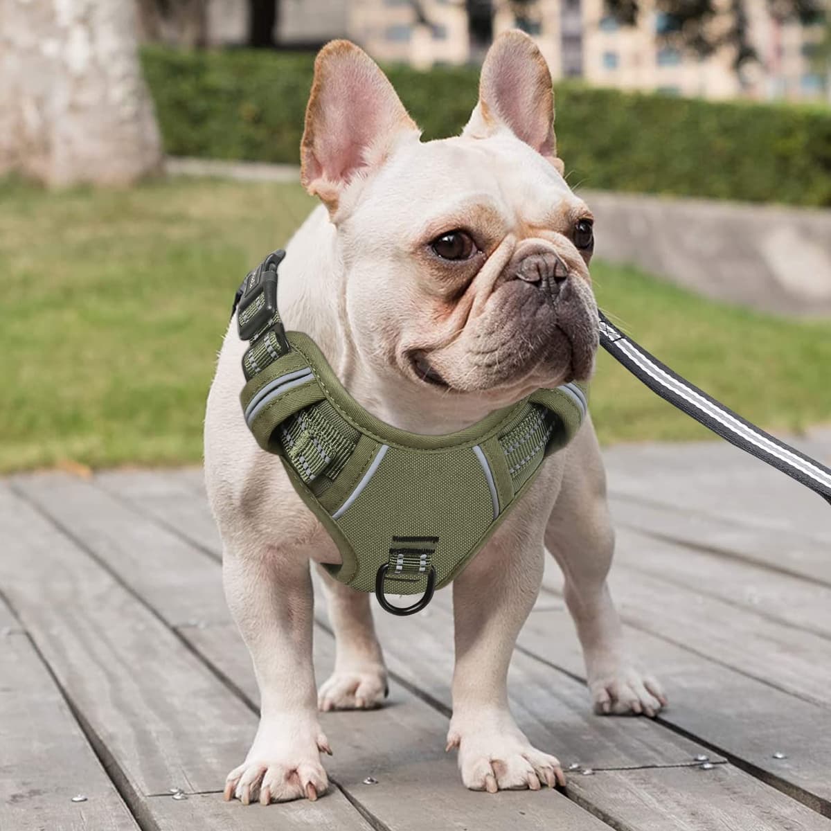HEELE Dog Harness, No Pull Dog Harness Medium, Release on Neck, Front Back Clips Dog Vest Harness Reflective Adjustable Padded, Easy Control Handle for Outdoor Walking Training, Green, M — view 5