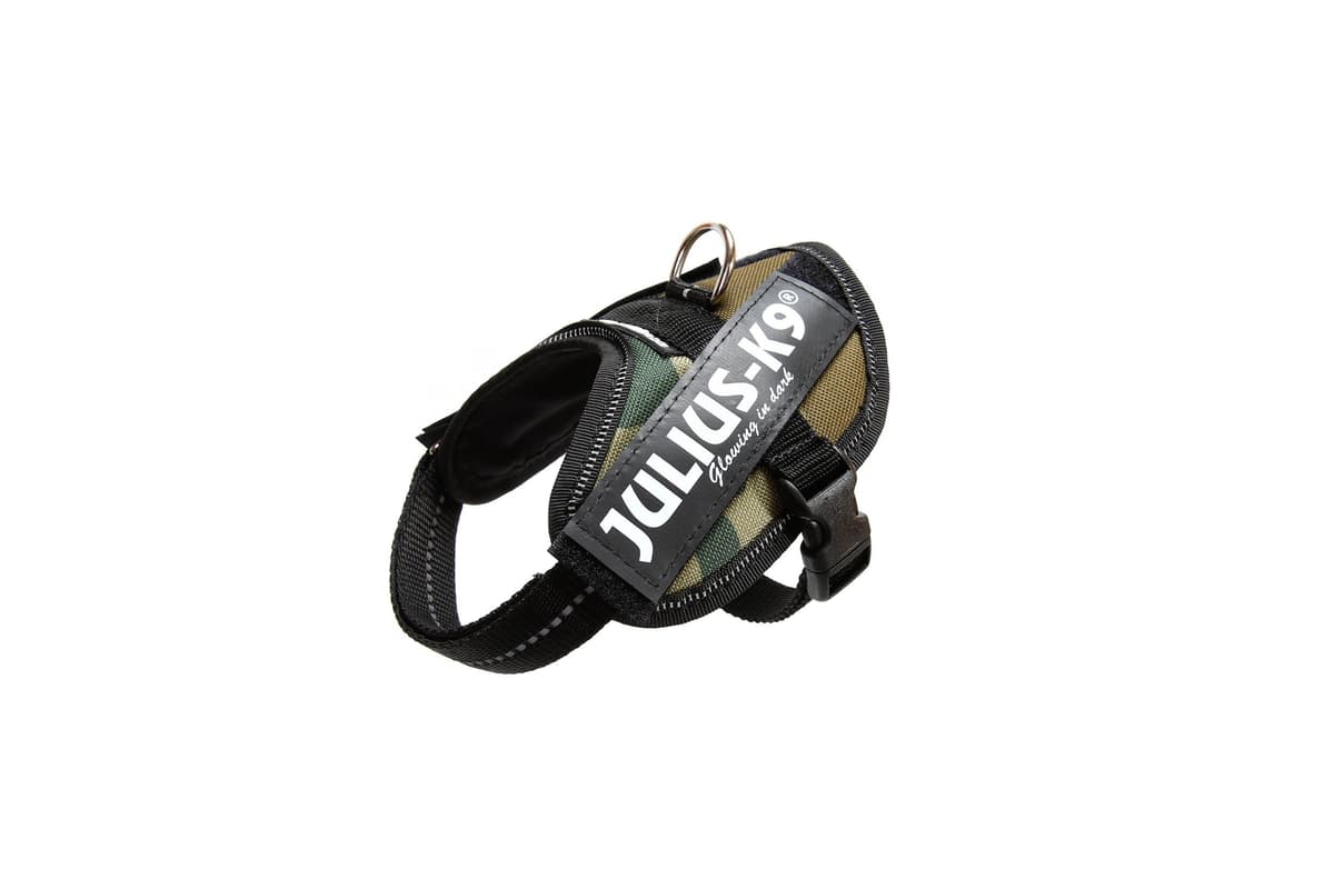 Julius-K9, 16IDC-AM-M, IDC Powerharness, dog harness, Size: Mini, Aquamarine — view 294