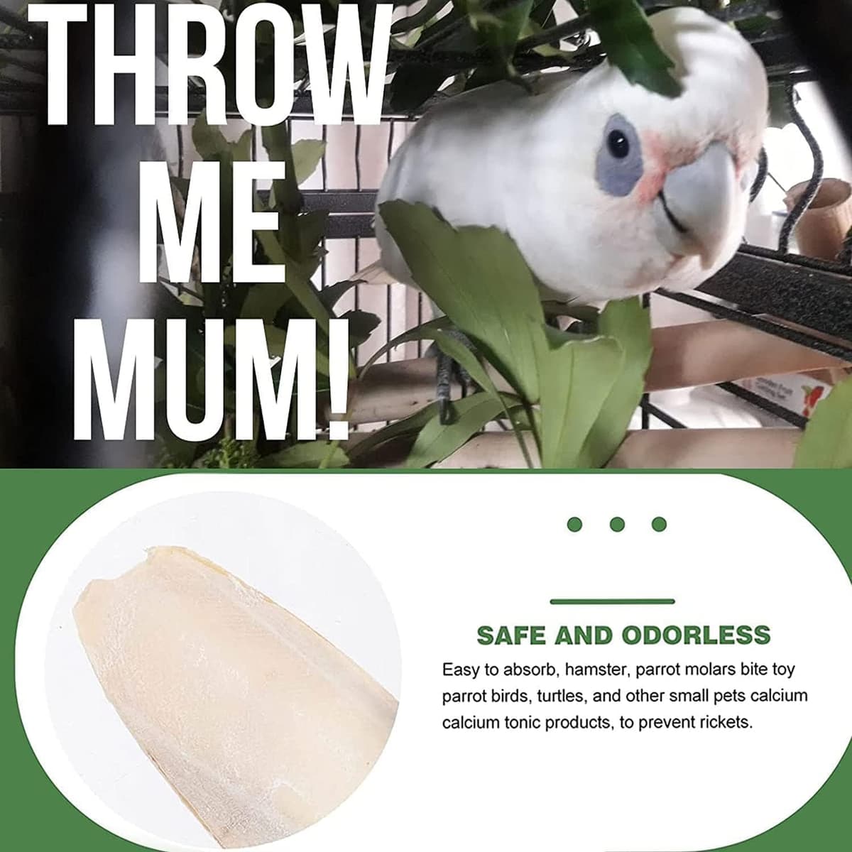 Newsmy 11 Pack Cuttlefish Bone for Birds, Natural Cuttlebone for Parrots and Budgies, Calcium Chew for Beak Care, Suitable for Snails and Tortoise [11Pcs 13CM] — view 4