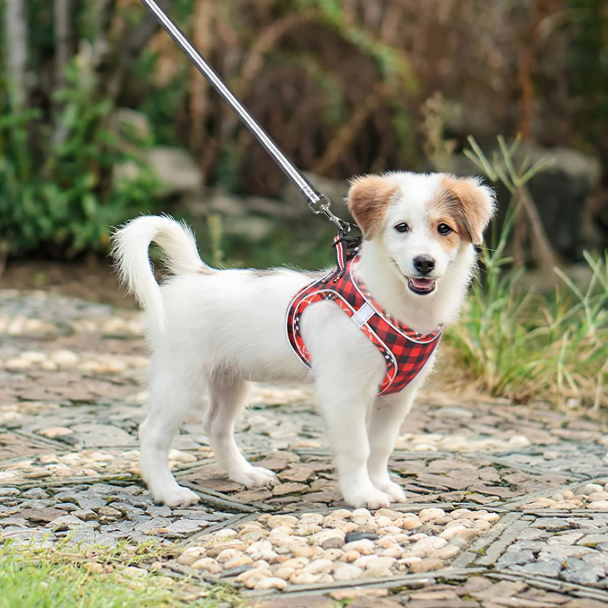 HEELE Arnes Perro Pequeño con Lineas Reflecantes Arnés Perro Antitirones Ajustable Suave Acolchado Cómodo para Viajar Pasear con Mascota, Flores Nanranja, S — view 100