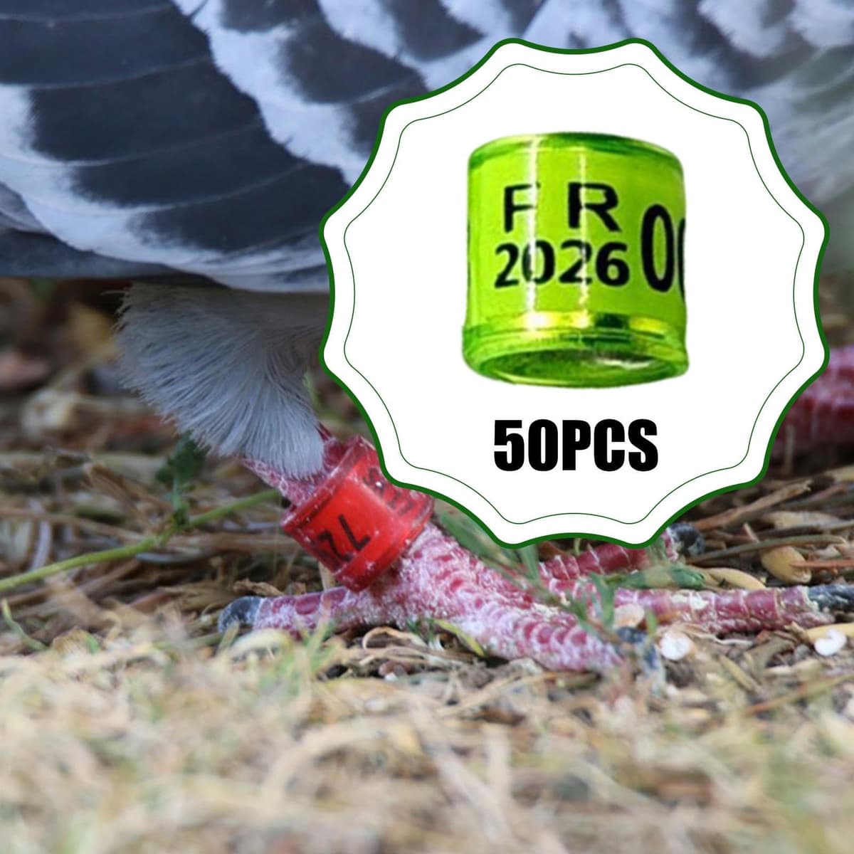 Sharplace 50 Piezas Anillas para Palomas Bandas Identificadoras para Patas de Pájaros Anillos Reutilizables para Control de Aves Material de Aluminio Y Plástico, Verde Claro — view 4
