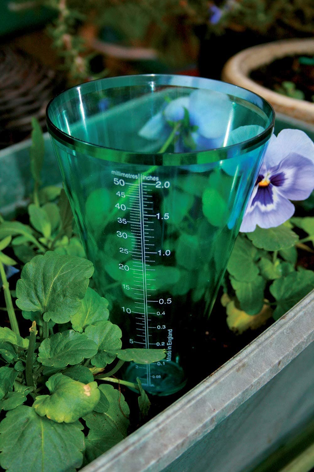 Tildenet Rain Gauge — view 2