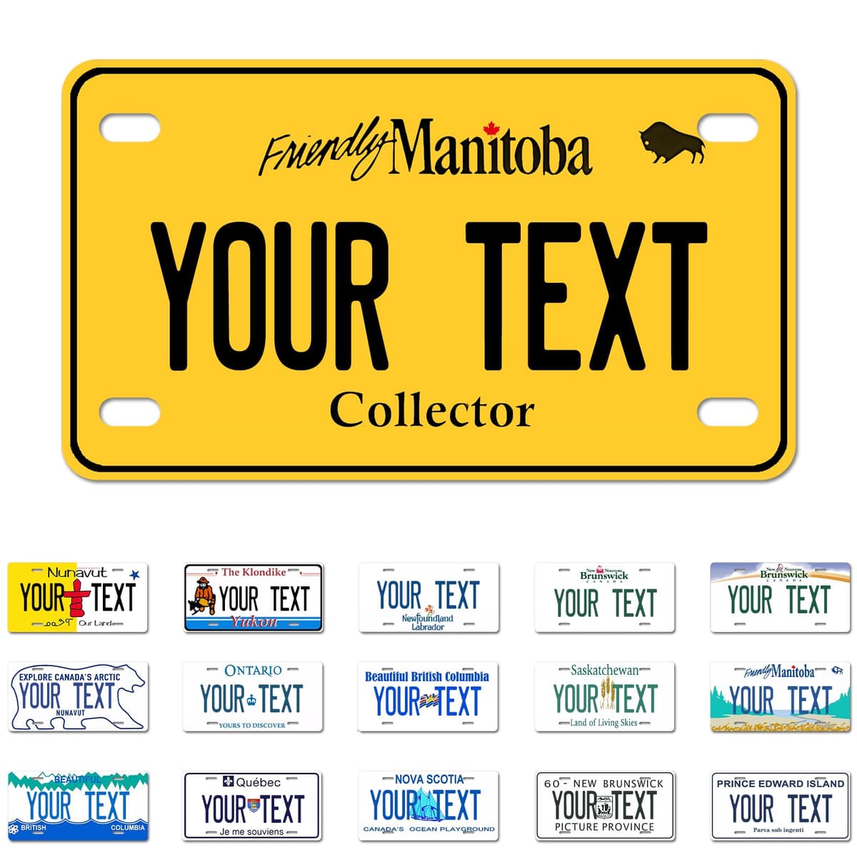 Alberta License Plate, 6"×12" Custom License Plate — view 43