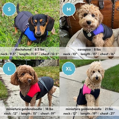 Gooby Padded Vest - Green, Large — view 4